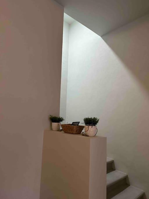 Casa Privada En Villa Bricia Cuernavaca Ngoại thất bức ảnh